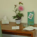 Hotel Boston Livorno